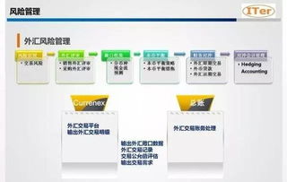 集團(tuán)資金管理價(jià)值趨勢分析及系統(tǒng)選型考量